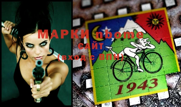 apvp Бородино