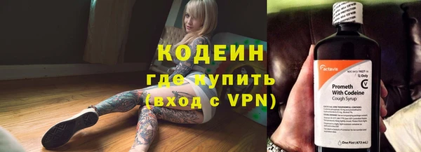 apvp Бородино