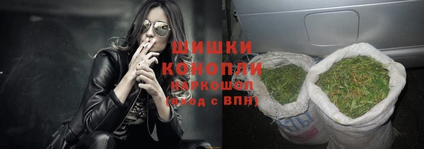 apvp Бородино