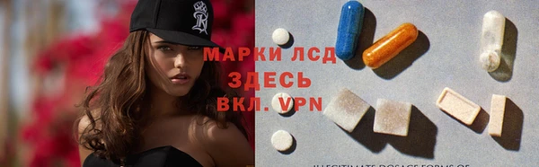 apvp Бородино