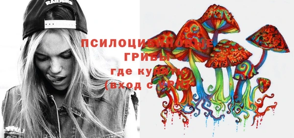 амф Бронницы