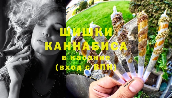 амф Бронницы