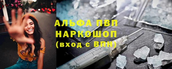 apvp Бородино