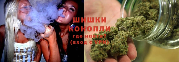 амф Бронницы